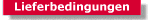 Lieferbedingungen